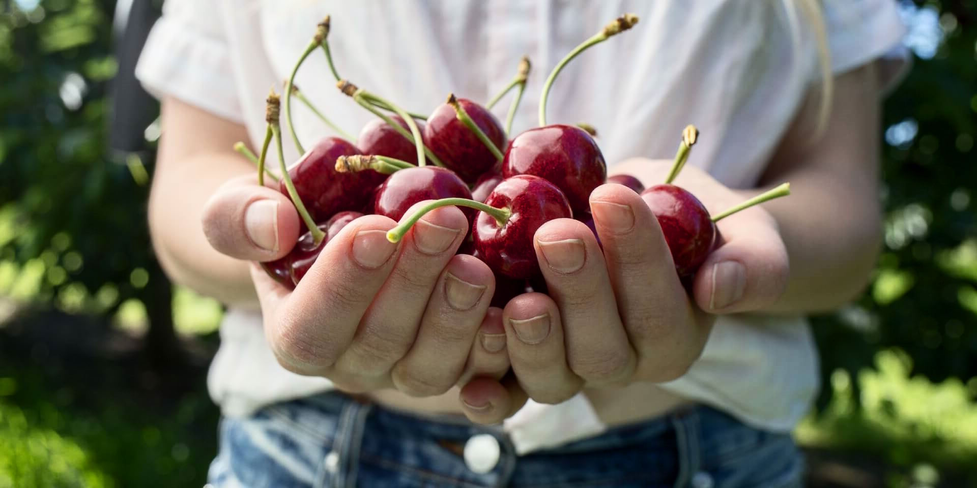 cherries